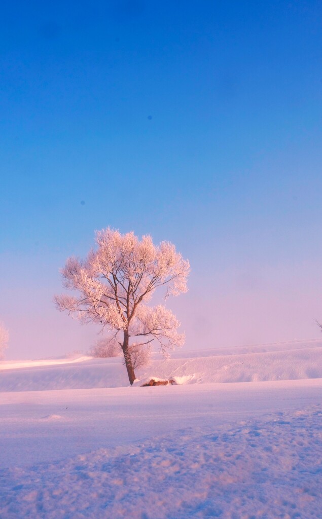 冬の終わりに by Pu0026F （ID：12245386） - 写真共有サイト:PHOTOHITO