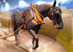 今年もよろしく