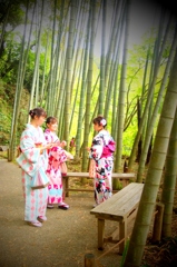 竹林に魅せられて