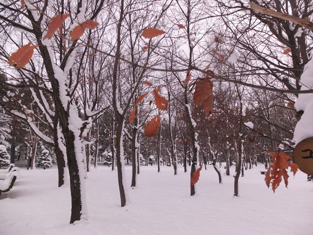 散るのは早いがんばって