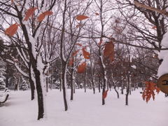 散るのは早いがんばって