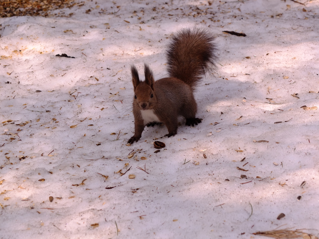 これから食事タイム