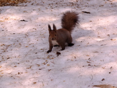 これから食事タイム