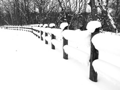 雪の道
