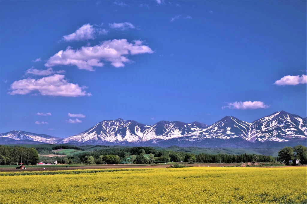 大空と山と、菜の花と