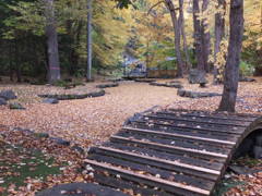 落ち葉の流れ１