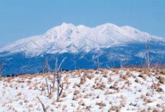 今冬の道東めぐり 斜里岳を望む 今冬の道東めぐり 斜里岳を望む