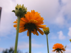 朝日をあびて２