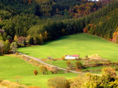 風の香りに誘われて 風の香りに誘われて