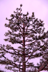 平成31年3月14日 平成31年3月14日