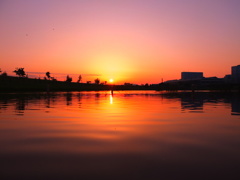 ぶらり夜の公園さんぽ 6/6の出来事Ⅰ ぶらり夜の公園さんぽ 6/6の出来事Ⅰ