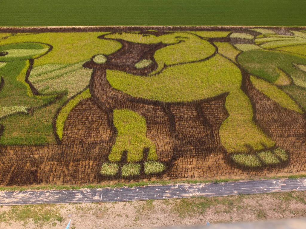 たんぼアート３