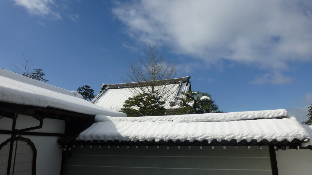 瓦の白と青空