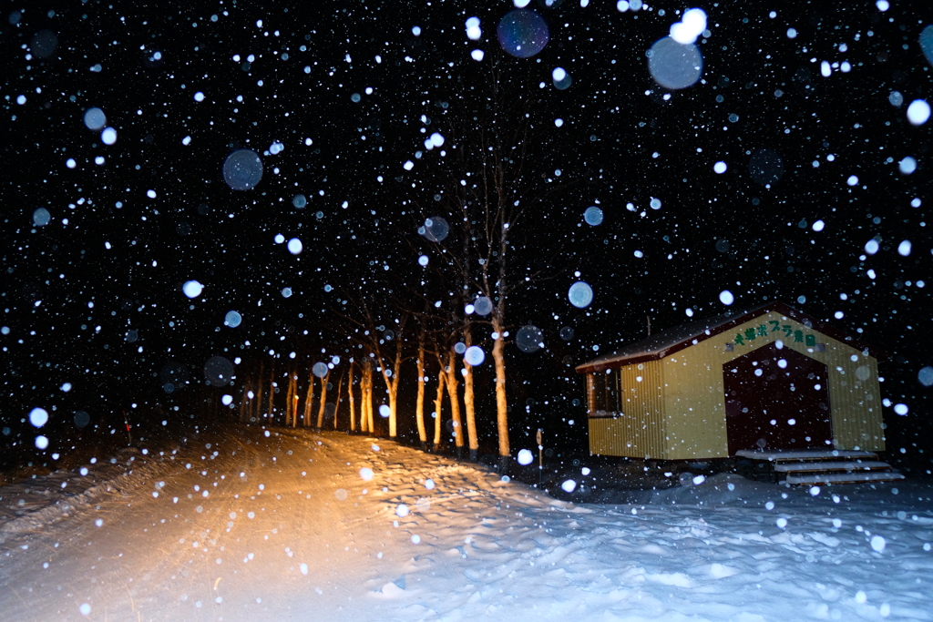 雪の降るセブンスター