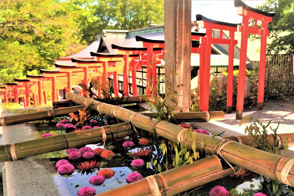 手水舎と鳥居と