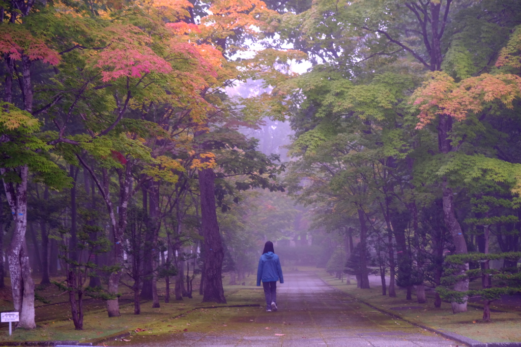 朝霧の中へ