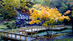 何時の日か 何時の日か