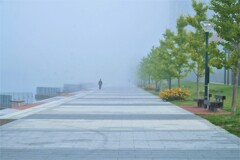 霧の中の