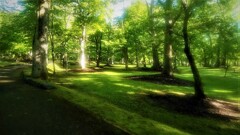 新緑に囲まれて