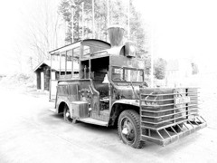 公園で見つけた物 公園で見つけた物