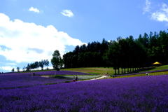 香り