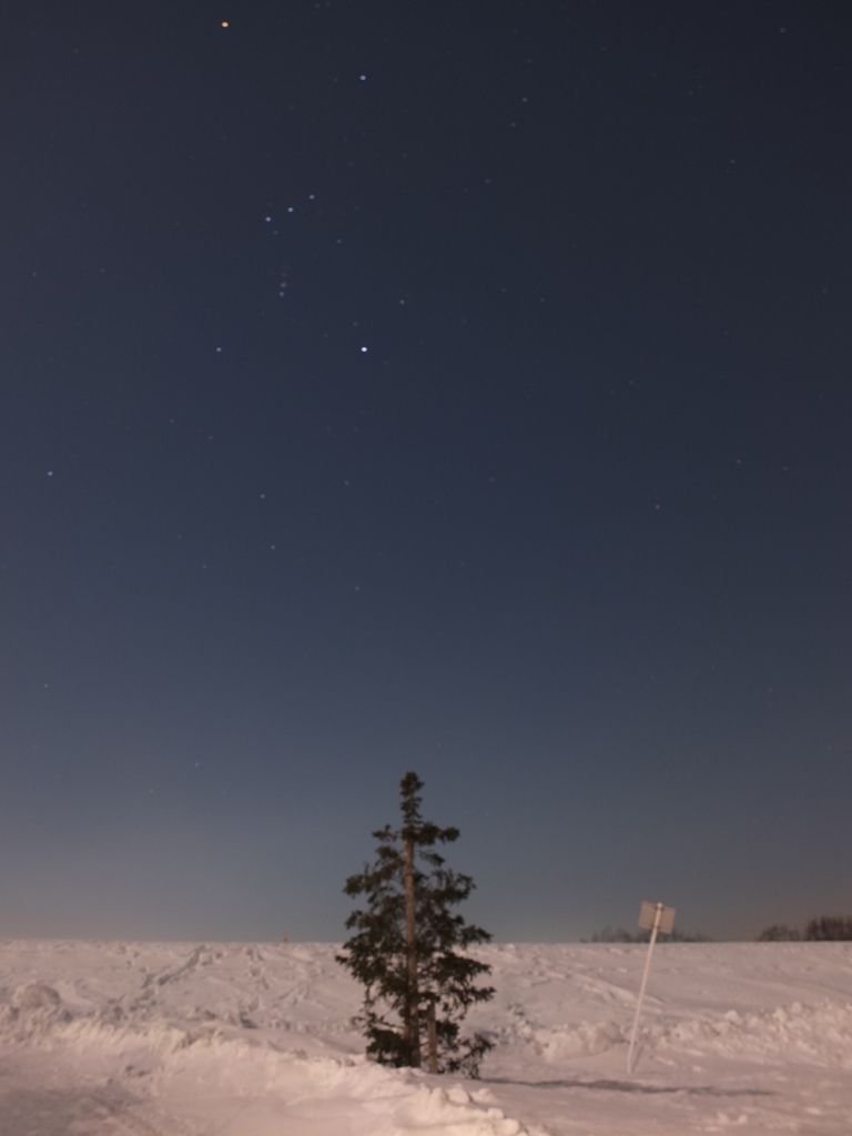 見上げてごらん北国の星を２