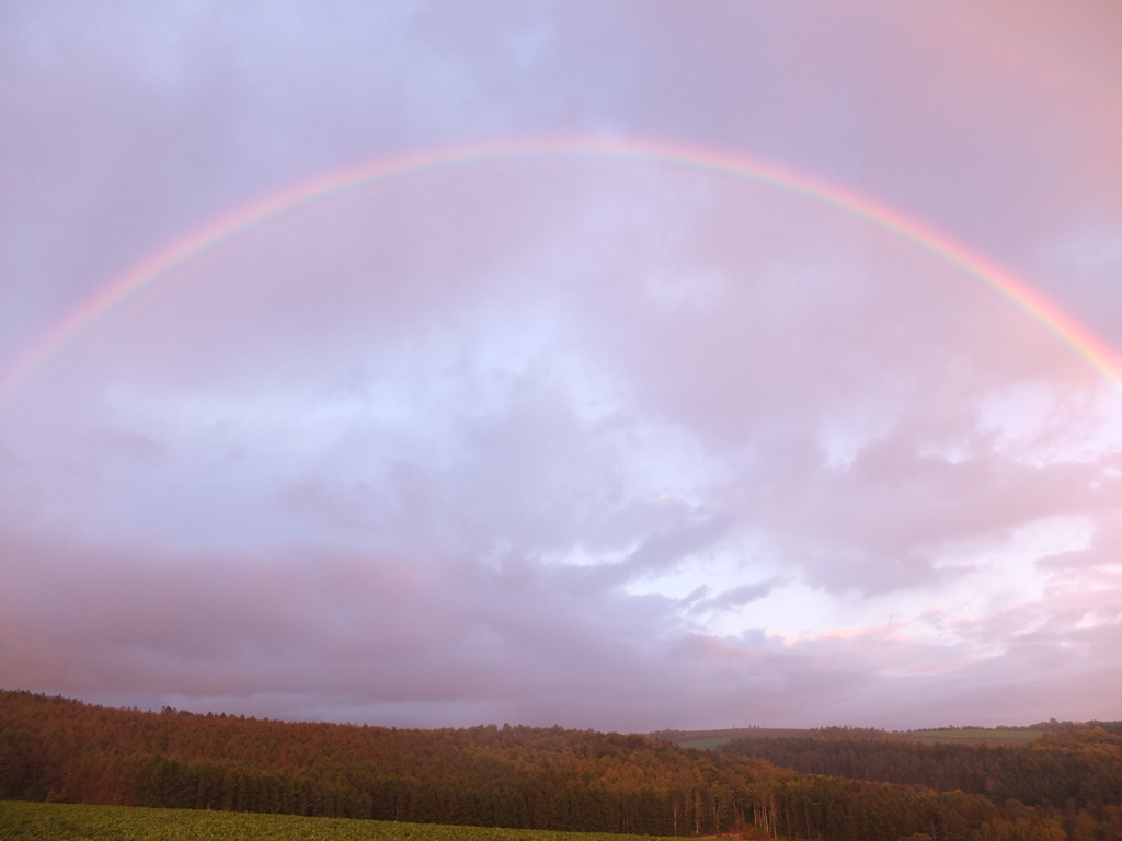 虹の架け橋