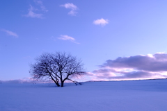 静かに夕景を待つ