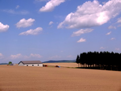 山中で迷った先は