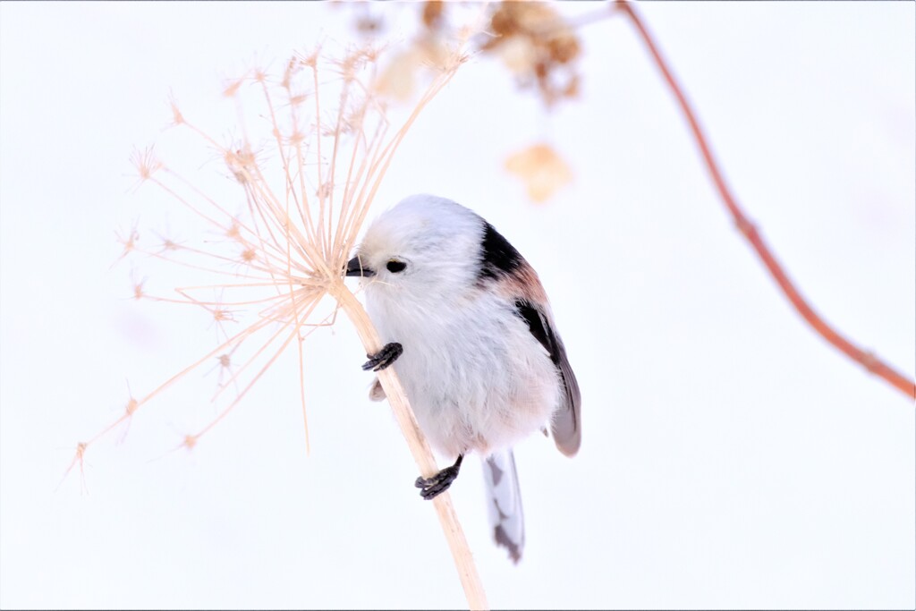 少しそこに居てくれよ