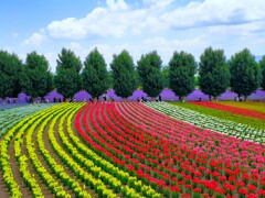 お花に囲まれて