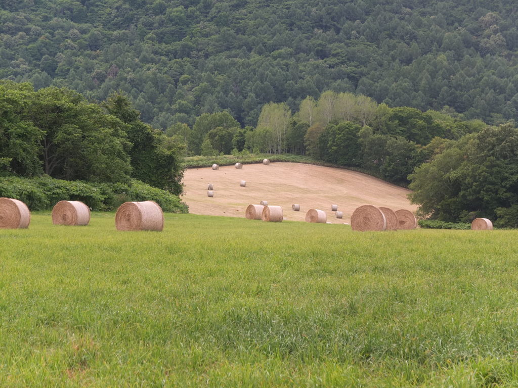 牧草ロール1