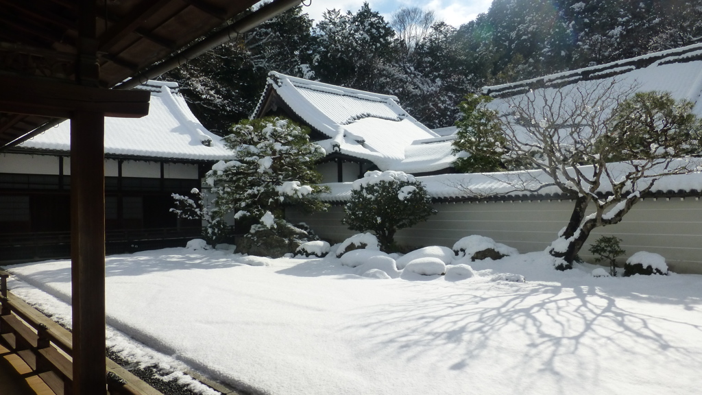 庭園の美１