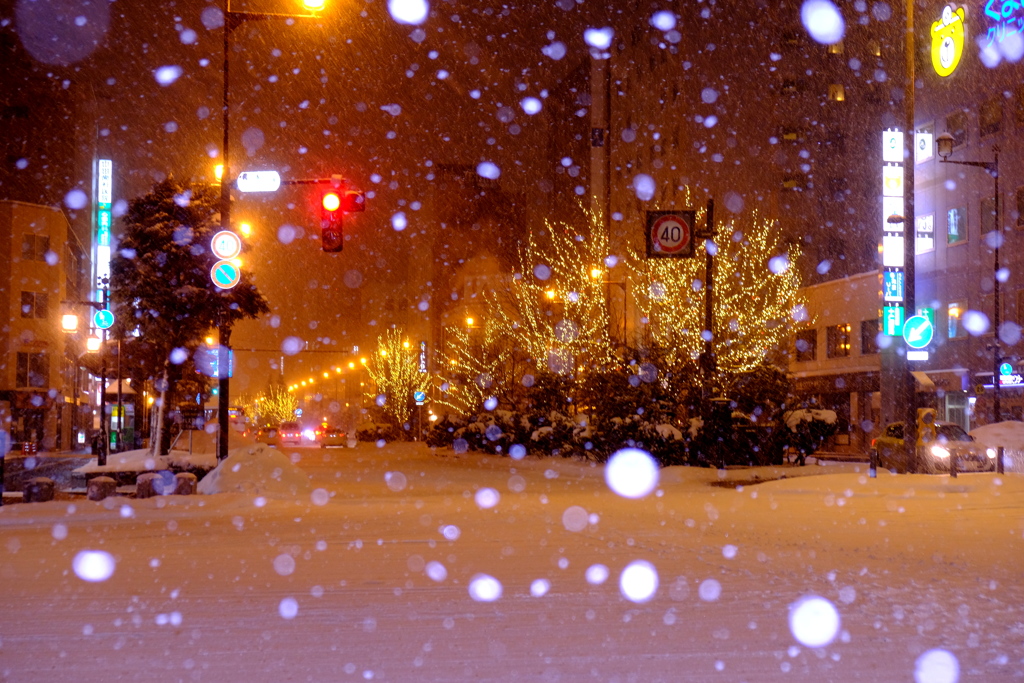 雪の降る街から　Ⅱ