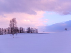 冬景色
