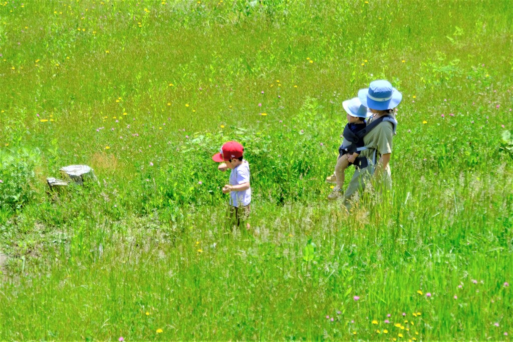 初夏を歩く