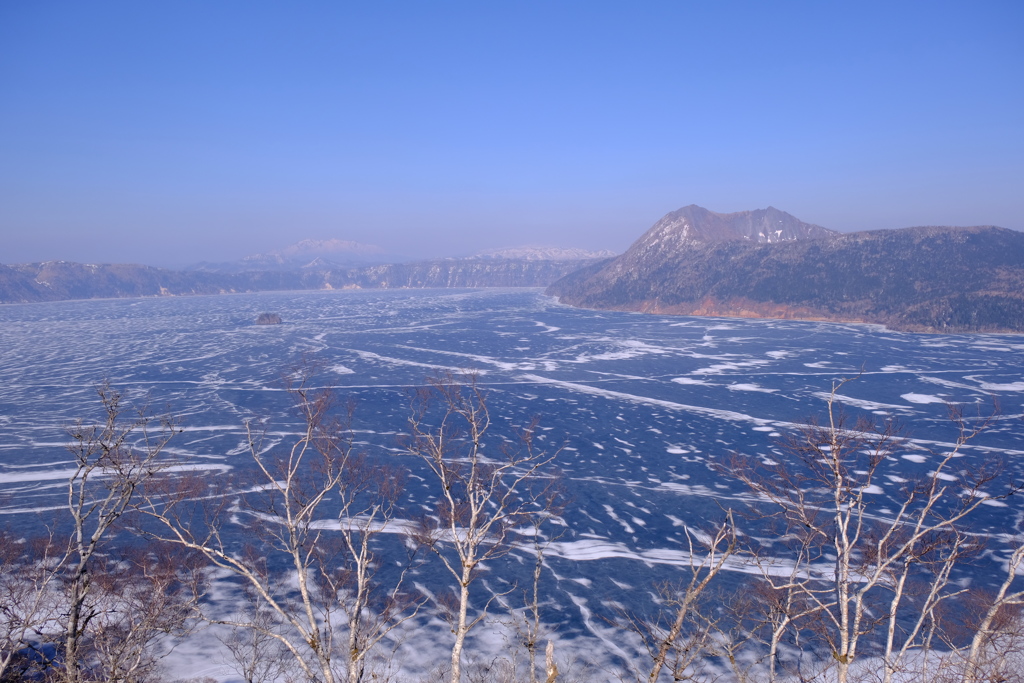 摩周ブルーと白樺と