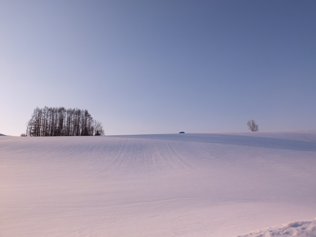 まだまだ積雪