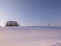 まだまだ積雪