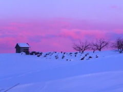 丘の上の小さな小屋