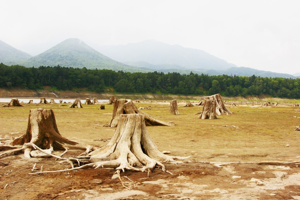 糠平湖