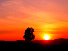 茜色の空と 茜色の空と