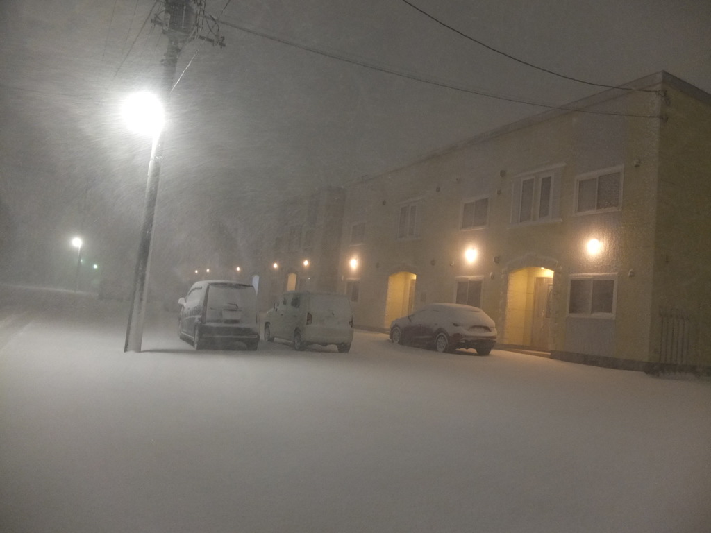 何センチあるかな