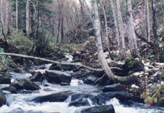 ぺンタと秋紀行３