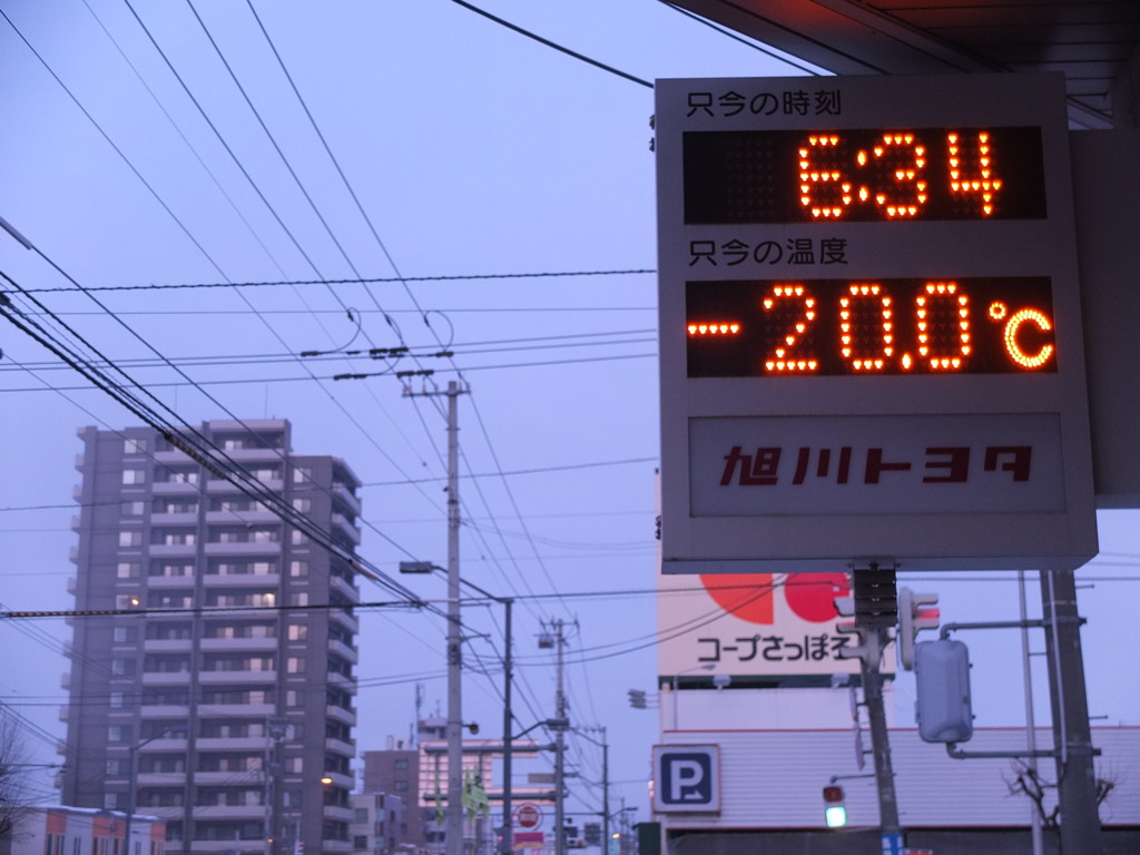 きたー今日もだ