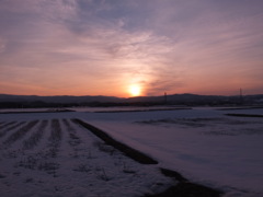 夕暮の田