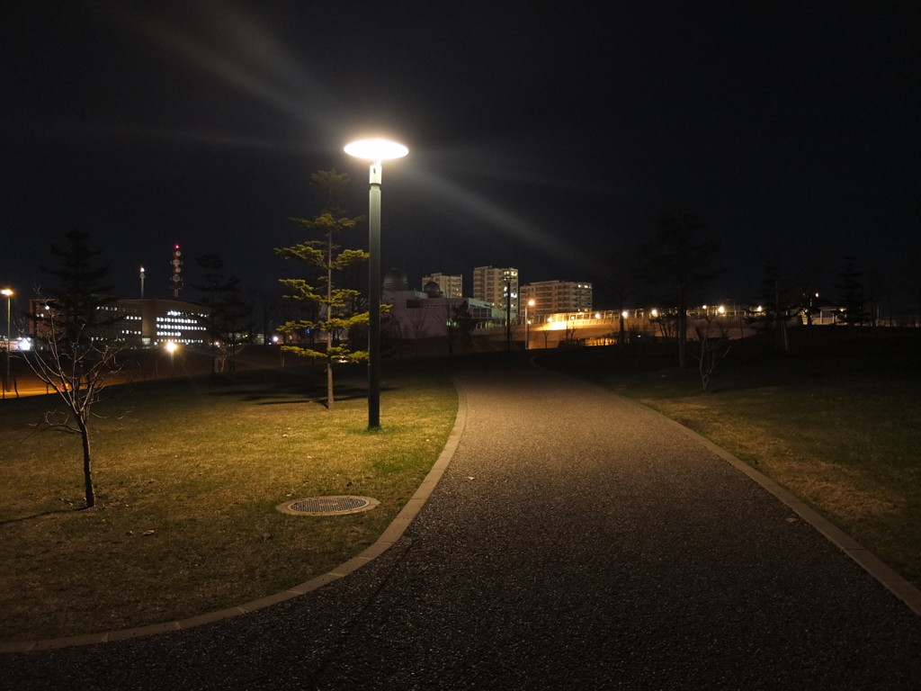 散歩道
