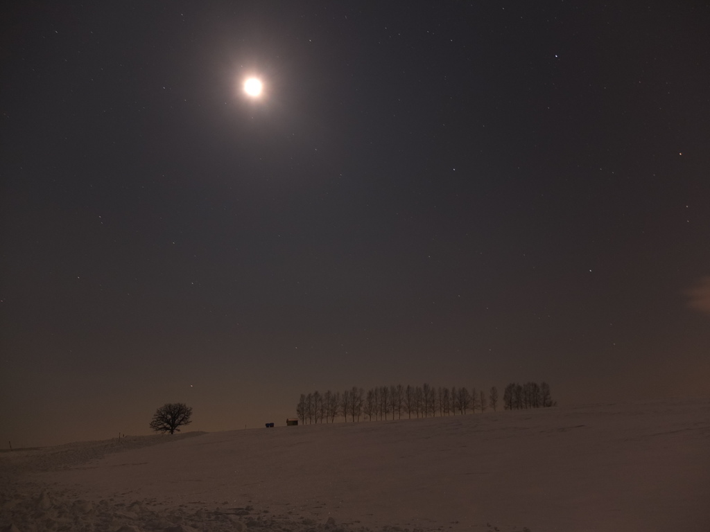 照らされてマイルドセブン２６日