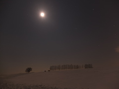 照らされてマイルドセブン２６日