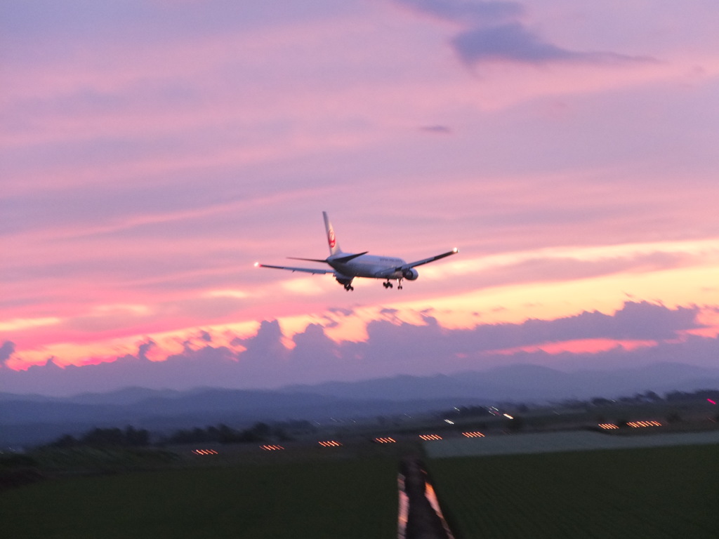 夕日に向かって